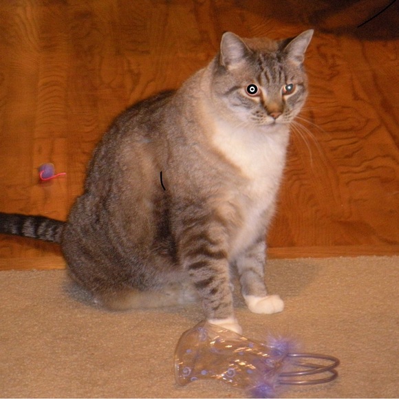 🚀☀️💝Meet your Posher, Patricia💝☀️🚀 - Picture 9 of 9